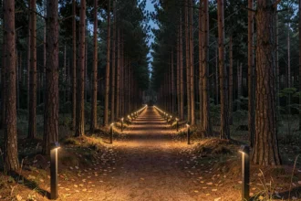 Sentier de randonnée sécurisé la nuit par des bornes solaires alignées le long du chemin forestier